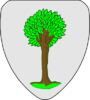 Escudo de Ixelles