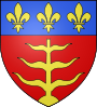 Escudo de Montauban