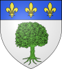Escudo de Montréjeau