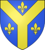 Escudo de Issoudun