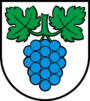 Escudo de Thalheim
