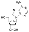 Estructura química de la adenosina