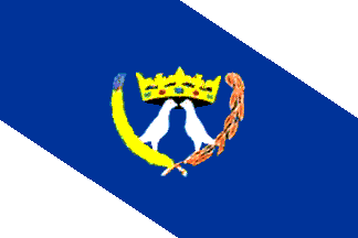 Bandera de Ponta Grossa
