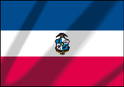 Bandera oficial de San Miguel