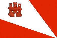 Bandera de Baraona