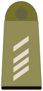 GE-Army-OR4b.gif
