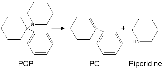 Conversión de PCP en PC y piperidina por calor.