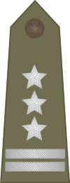 POL-Army-OF5.gif