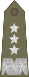 POL-Army-OF8.gif