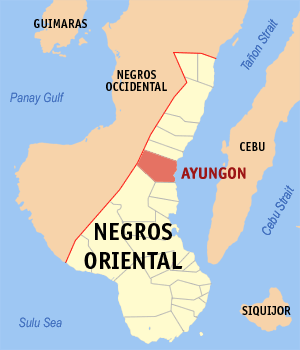 Mapa de Negros Oriental mostrando la localización de Ayungon