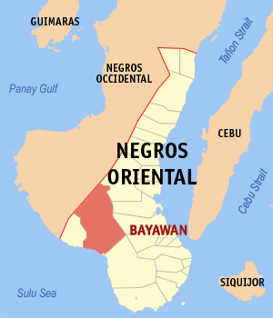 Mapa de Negros Oriental mostrando la localización de Bayawan City.