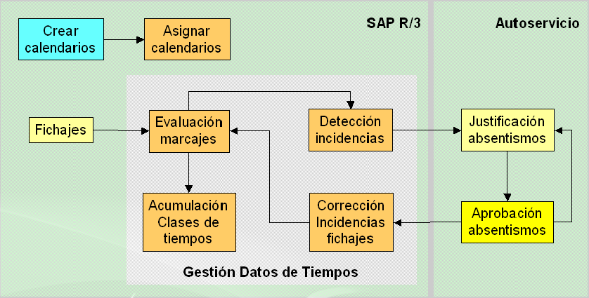 Proceso pt.png